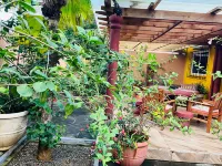 Effi Mountain View Colibri Villa - 3-Star