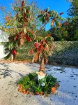 Holiday Home Nino with Private Pool Hotels near Čiovo - Slatine - Central Dalmatia Croatia - Bike Tracks