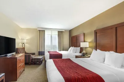 Comfort Inn & Suites Hôtels à : Rapid City
