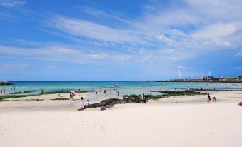 2. 제주 월정여가펜..