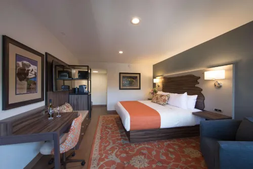 The Vine Inn Davis Hotels in Davis