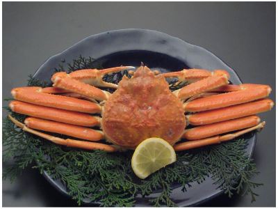 料理 火の谷温泉　美杉リゾート　ホテルＡＮＮＥＸの写真