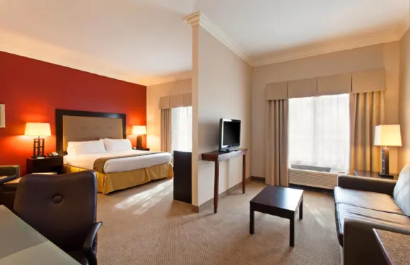 智選假日套房酒店二十九棕櫚村