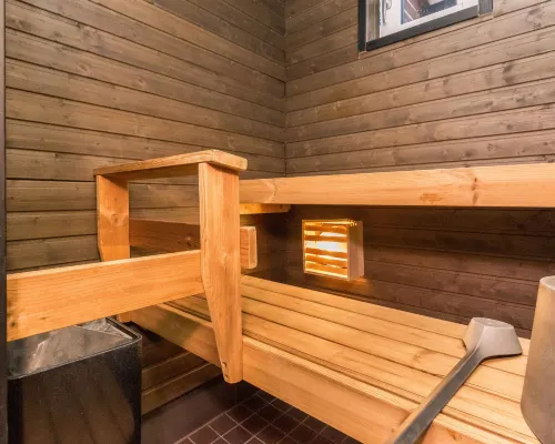 Skivillas Paljakka 42mh) 普奧蘭卡酒店