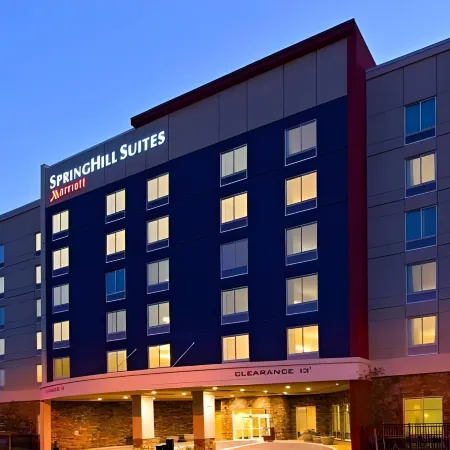 SpringHill Suites San Antonio Alamo Plaza/Convention Center