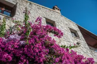 Villa Arhontariki