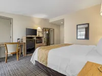 كواليتي إن آند سويتس إن آر جي بارك - المركز الطبي Hotels near إن آر جي بارك