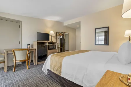 Quality Inn & Suites NRG Park - Medical Center