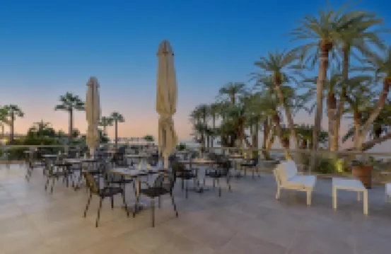 Zeus Hotels Palm Beach