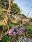 Ann Village (Glamping) Hotels near Hưng Phụng Tự