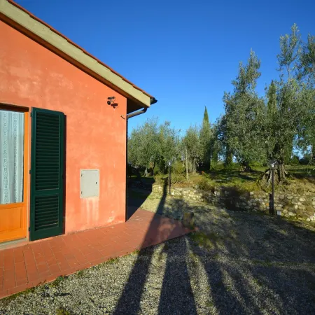 Getaway Amidst Vineyards