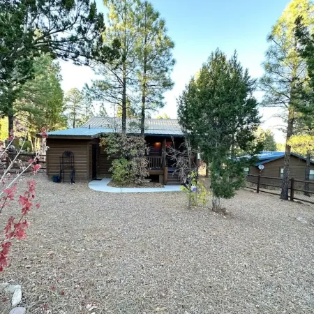 Show Low Cottage Hideaway-Cozy Cabin w/Fireplace