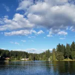 Z Cabin: Vintage Lakeside Retreat w/Private Dock