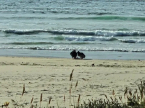 So much to enjoy at this 2-bedroom cottage in Charming Lakeside. レイクサイドのホテル