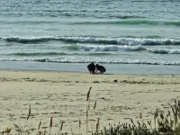 So much to enjoy at this 2-bedroom cottage in Charming Lakeside. Hotels in Lakeside