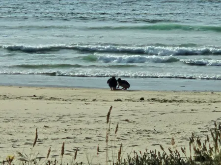 So much to enjoy at this 2-bedroom cottage in Charming Lakeside.