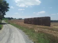Châlet en Gascogne