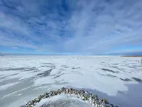 Cozy Quiet Island Light House on Water Front Hotels in Tuscola County