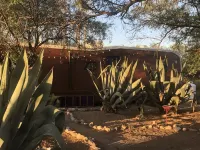 Ranchito Paraiso: Artsy Farm Stay in the Desert