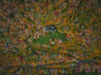 Amber Acres Lodge; Spacious Log Cabin with Mountain Views and Lake Access