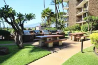 Premier Ocean View! King Luxury Bed, A/C, Clean, Cozy, Updated, Wifi, Beach Gear