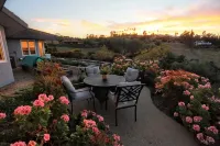 Luxury Chateau - epic saltwater lap pool, wine+beach+retreat