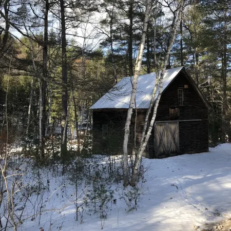 Skiers & Winter Outdoor Adventurers! Cozy Cabin on 5 Acres on Ausable River