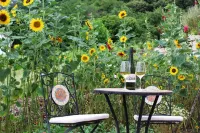 Vacation apartment at the Rebmeer (Pfalzcard participant)