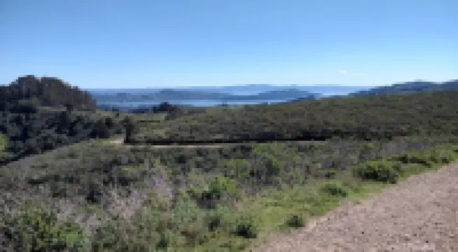 Haven in the trees, minutes from hiking trails