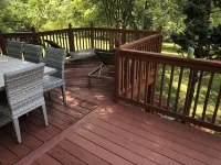 Visit Monticello, Wineries, UVA & More