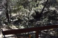 Creekside Madera Canyon Cabin close to Trailheads for hiking and birdwatching