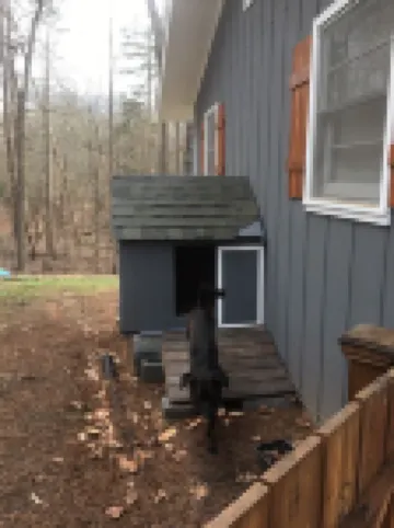 Secluded Lake Front Cabin - on Lake Hartwell, with Dock, Fenced Yard, Fire Pit.