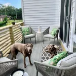 MODERN Beach Home! Dogs Welcome! 6 Passenger Golf Cart & Free Town of CB Parking