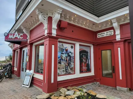 Allegheny Springs Slope Side Penthouse - Amazing Views