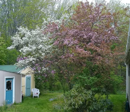 Cozy Milbridge retreat just steps away