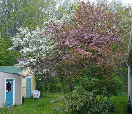 Cozy Milbridge Country Home - 4-Star