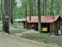 Quaint Cozy Cabin Near East Fork, Weekly and Monthly Rates, King Bed, Fireplace Hotel dekat Whiting Sawmill