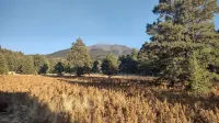 Tiny house on the prairie with mountain views.