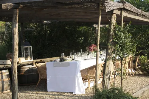 Romignano wine farm. Your villa in TUSCANY. Hotels in Terranuova Bracciolini