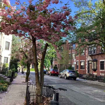 Historic Brownstone Townhouse, 7 beds/3.5 baths, Fenway Boston