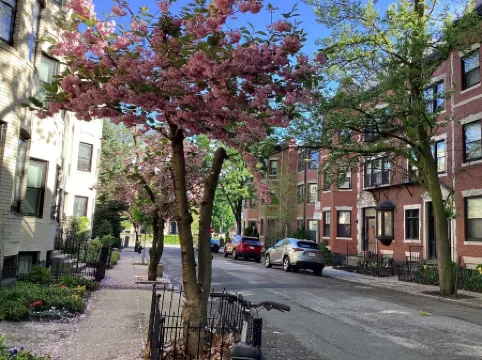 Historic Brownstone Townhouse, 7 beds/3.5 baths, Fenway Boston