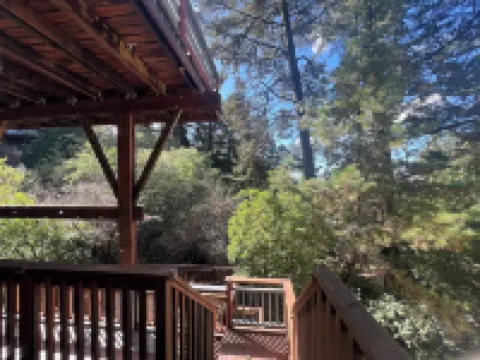 Treetop Refuge in Oakland Hills