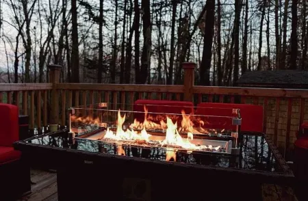 Cozy Cabin with a Stream