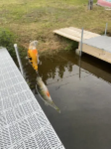 Cozy Cottage in the Great North Woods