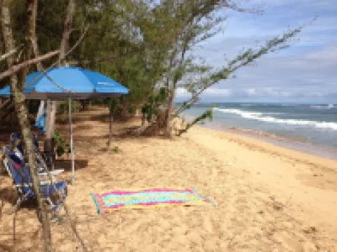 Ocean Front Luxury Condo - Relaxing Comfort