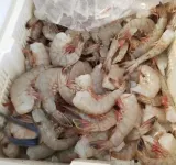 Vacay Getaway! Cozy Coastal South Bay Blue Bungalow Hoteles en Rockport