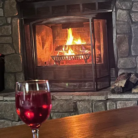 Adventurer's  Lodge, a charming 3-bedroom cabin with WiFi in quiet Lansing, WV.
