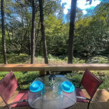 Remote Waterfall Cabin at Swiftwater Acres