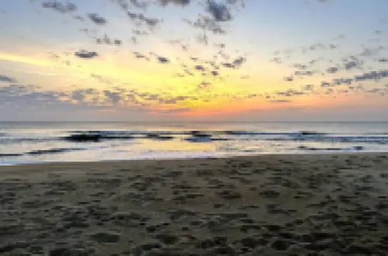 Sand Life - Pelican's Southern Nest! - Pet Friendly!