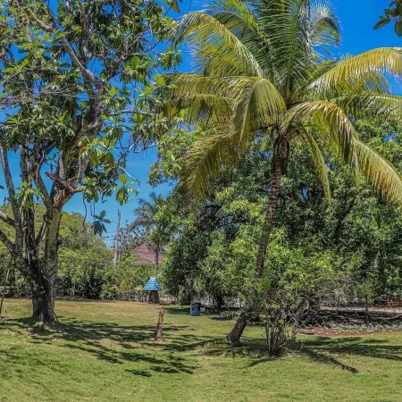 Seven Palms Villa